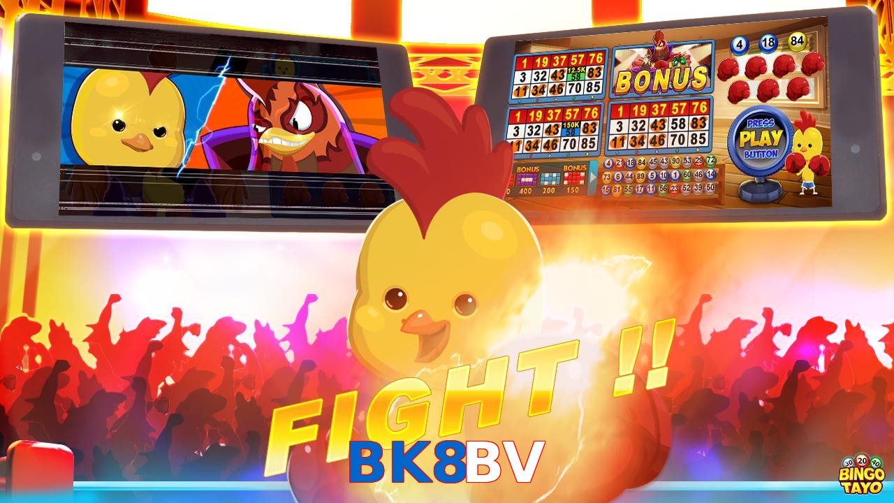 BK8BV