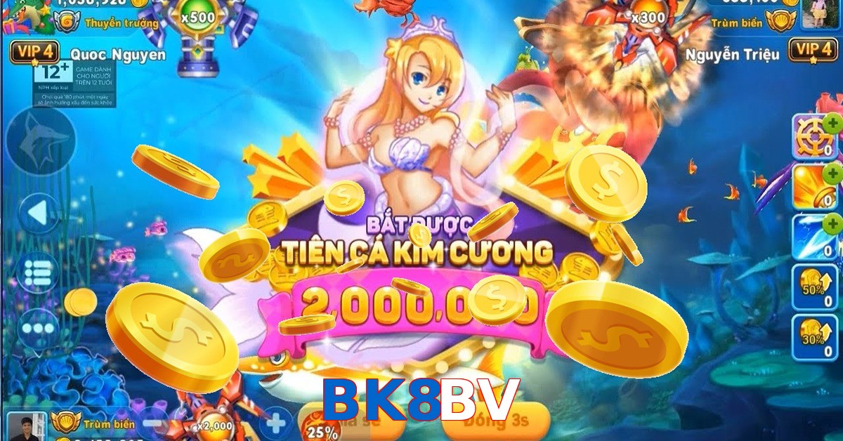 BK8BV