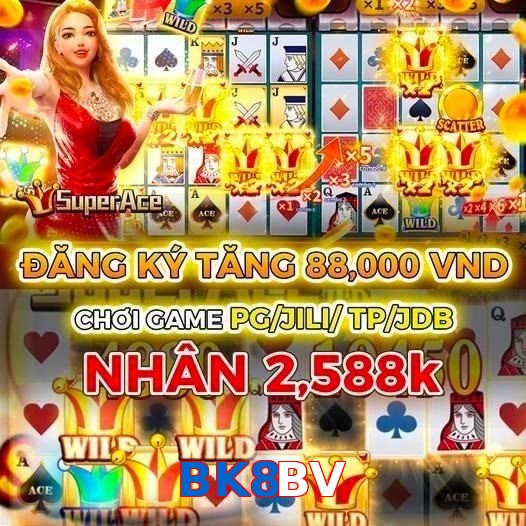 BK8BV